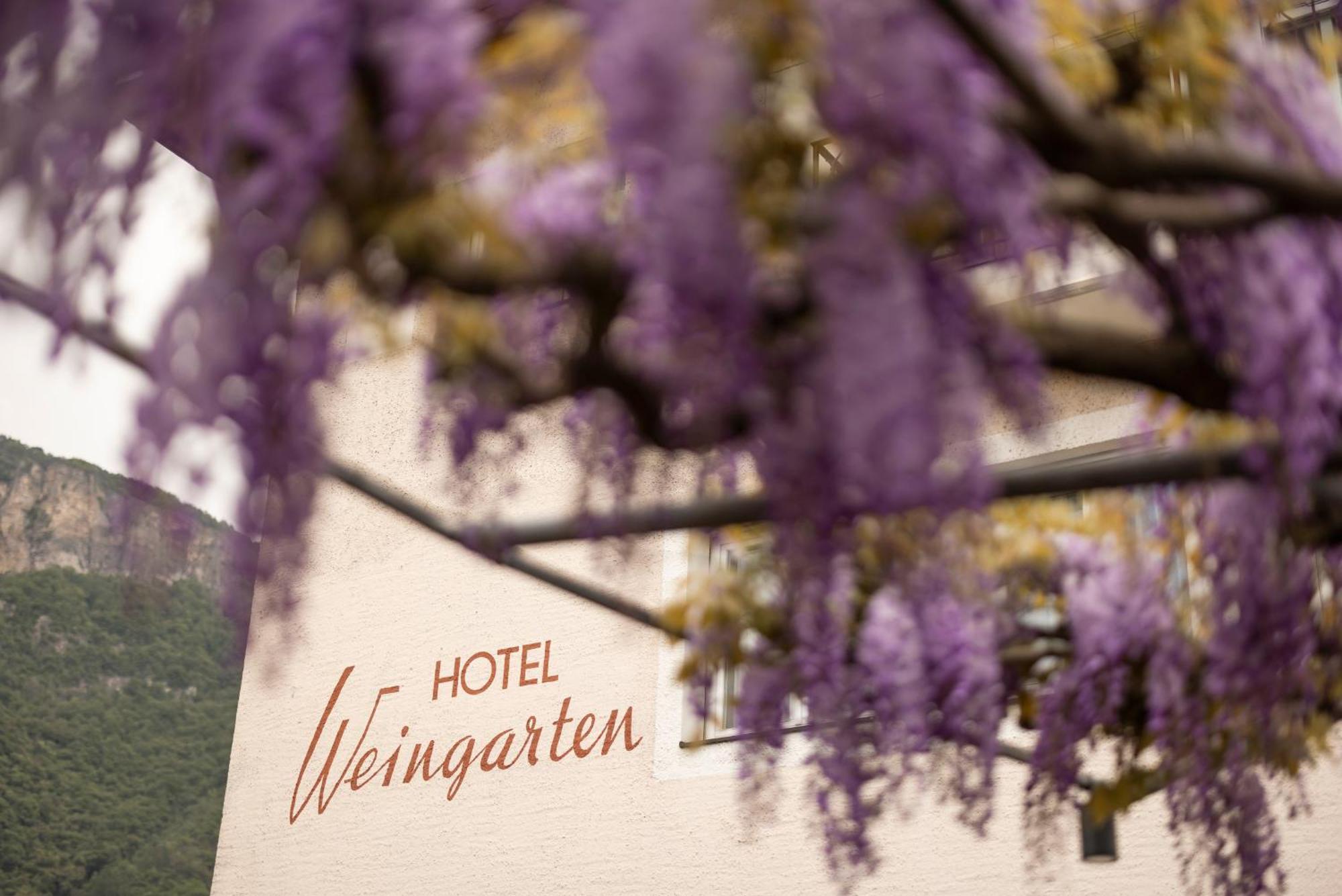Weingarten Terlan - Rooms & Breakfast Dış mekan fotoğraf
